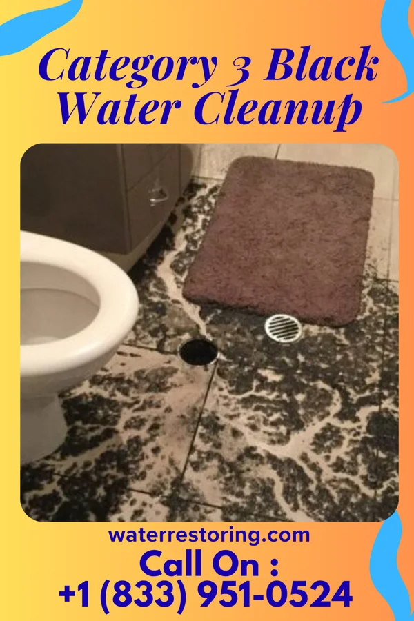 Category 3 Black Water Cleanup in New Hope, MN