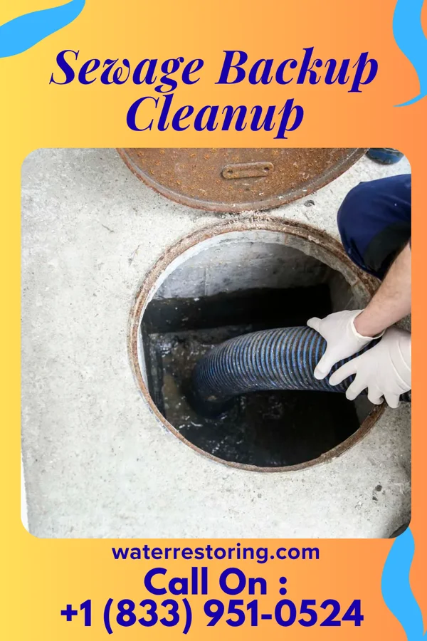 Sewage Backup Cleanup in New Hope, MN